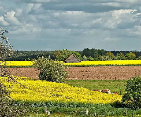 Ferien Auf Tippen Hof Bleckede
